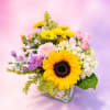 Bright, cheerful, and full of charm, Sunshine &amp; Sweet Stems features a