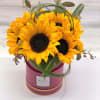 Sunflowers in box.