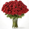 Fifty long red roses arranged together, showcasing their vibrant and elegant appearance.