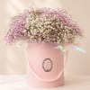 A soft and dreamy floral design featuring premium pink and white baby&rsquo;s