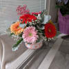 Colorful mixed getbera daisies