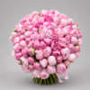 A breathtaking bouquet of fresh peonies in soft pink tones, featuring lush