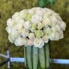 Stunning white Roses, arranged in a leaf-lined vase
