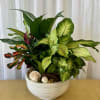 A beautiful mix of lush green plants artfully arranged in a decorative