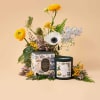 High Peaks of the Adirondakc Forest soy candle brings to mind crisp