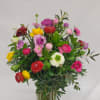 Mixed bouquet of colorful ranunculus in a clear glass vase