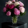 A lush cluster of pink and white peonies takes center stage in