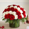 Red and white roses in a green round box with evergreen accents