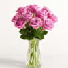  Pet Friendly?
YES. While roses themselves are non-toxic to household pets, the