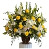 Premium flowers in yellow and white!