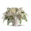  Pet Friendly?
NO - While roses are generally safe, Maidenhair Ferns and