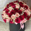 Pet Friendly?
NO While roses themselves are non-toxic, the thorns can cause