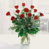 Pet Friendly?
Yes. Roses are generally non-toxic to cats and dogs.
Tip: Remove