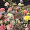 Soft, garden-fresh carnations in blush pink, peach, lavender, yellow and white bring