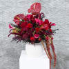 A dramatic floral composition designed with deep crimson roses, sculptural anthuriums, vibrant