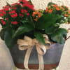 Potted flowering plant with red and orange blooms in a metal container