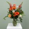 Designed for a vibrant, colorful moms- be the favorite child this year