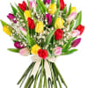 Assorted tulips 