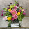 A whimsical, free-spirited dance of soft romance and wildflower charm, Dream Daisy