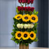 A striking block of color designed to make someone feel celebrated: deep