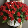 Large basket arrangement of red roses