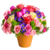 Mixed pink and purple bouquet in an orange pot