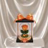 Bright and joyful, this real Ecuadorian rose in a vivid orange hue