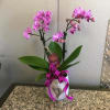 As shown - Approx. Height 18"