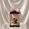 A real Ecuadorian rose, carefully preserved to last over a year&mdash;no water