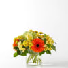  Pet Friendly?
No - This arrangement contains Alstroemeria and Hydrangea, which can