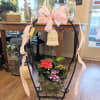 Moss' Bountiful Blooms Plant Garden includes a mixture of both blooming and