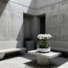 White orchids in a low white planter on a concrete table