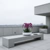 Pink orchids in a white bowl on a concrete bench