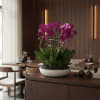 Pink orchids in a white bowl planter on a wooden table