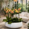 Yellow orchids arranged in a white bowl planter