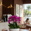Potted purple orchids in a white bowl on a wooden table