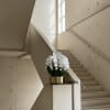 White orchids arranged in a gold planter on a stair landing