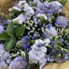 Soops, statice, delphinium and a mix of greens, make this a simple