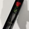 Single red rose in a black gift box