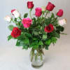 Red Pink White Dozen Valentine Roses