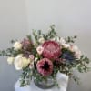 Local proteas and eucalyptus 