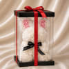 White rose teddy bear in a clear gift box with a red ribbon