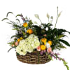 Low basket arrangement with white hydrangeas, yellow blooms, peach flowers, and tall white peace lilies.