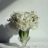 Spring bulb flowers to chase away the winter chill.