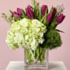 10 Tulips, with a hydrangea and a hyacinths 