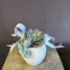 A whimsical, handcrafted succulent arrangement that feels like a small celebration in