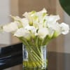 Elegant bouquet of calla lilies in a glass vase.  Calla lilies