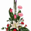  Pet Friendly?
NO . While roses themselves are non-toxic to dogs and