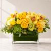 Wake up to the glow of California sunshine with Malibu Morning, a
