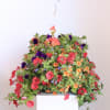 A lush hanging basket overflowing with mixed blooms in vivid pink, orange